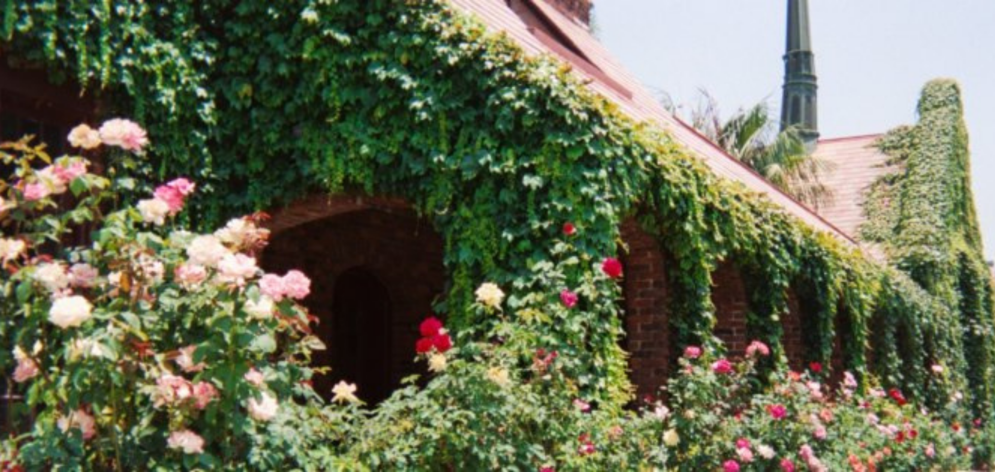 Building for Website Photo